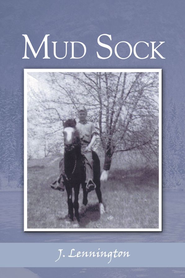 Mud Sock