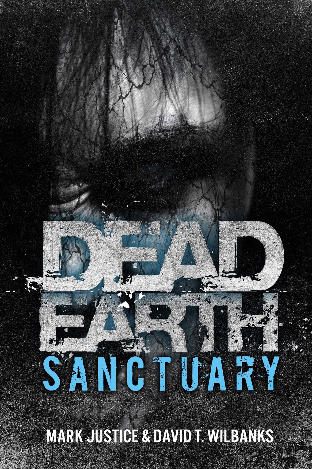 Dead Earth: Sanctuary