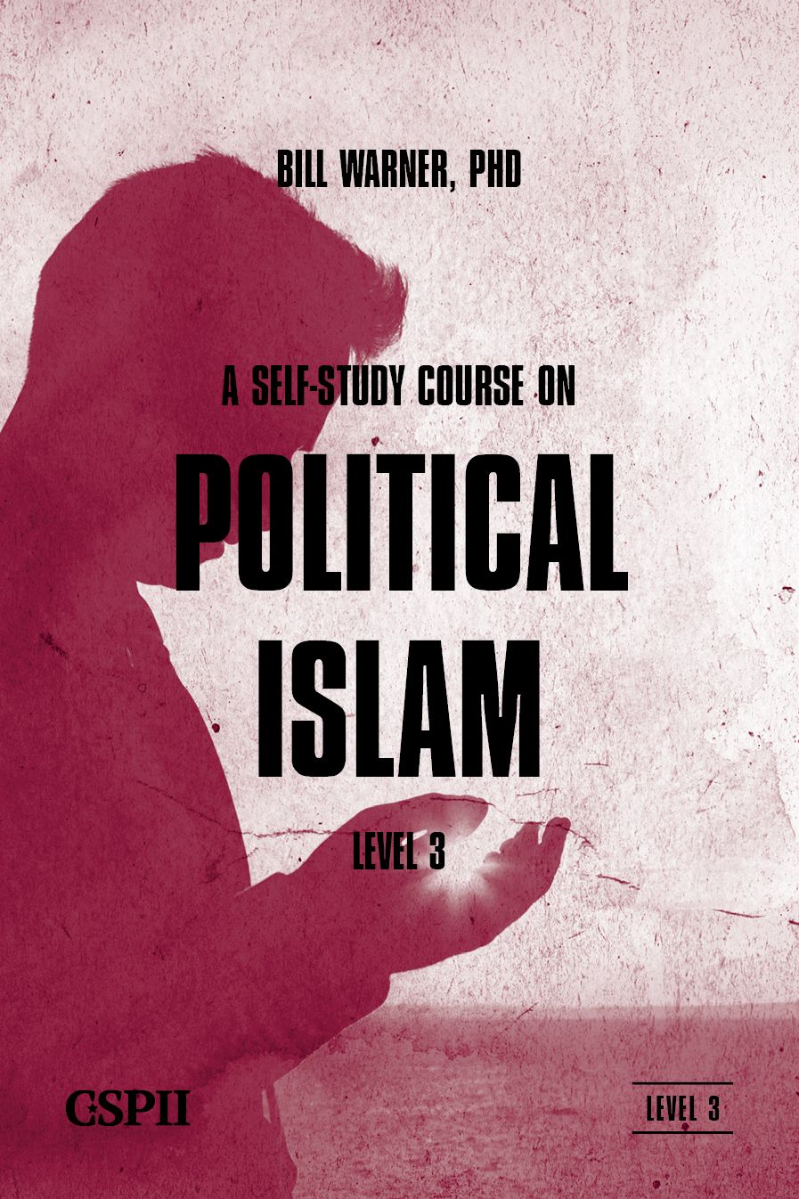 A Self-Study Course on Political Islam - Level 3