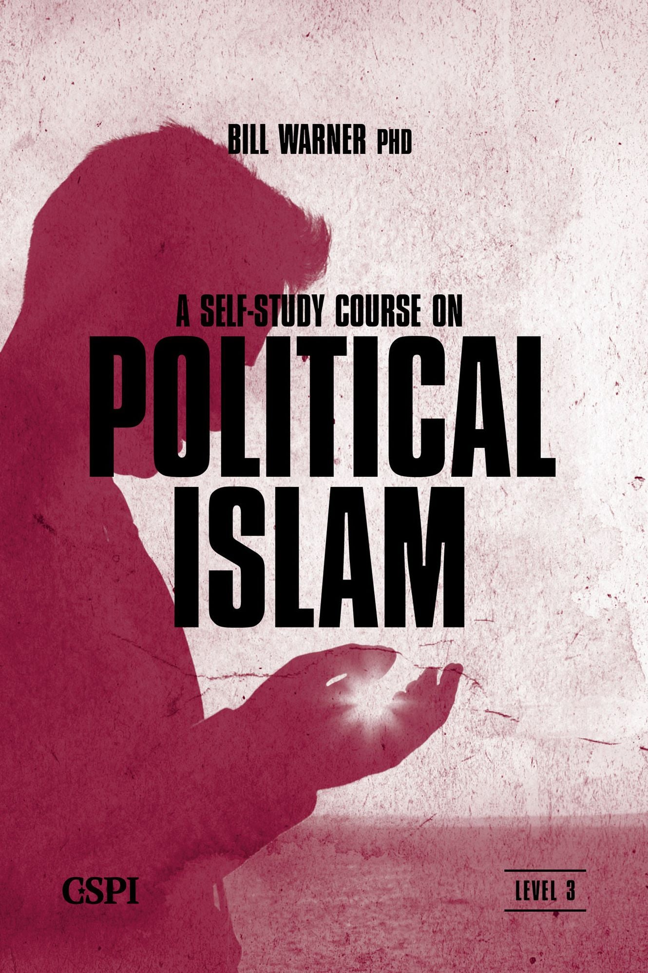 A Self-Study Course on Political Islam - Level 3