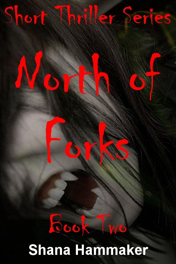 North of Forks