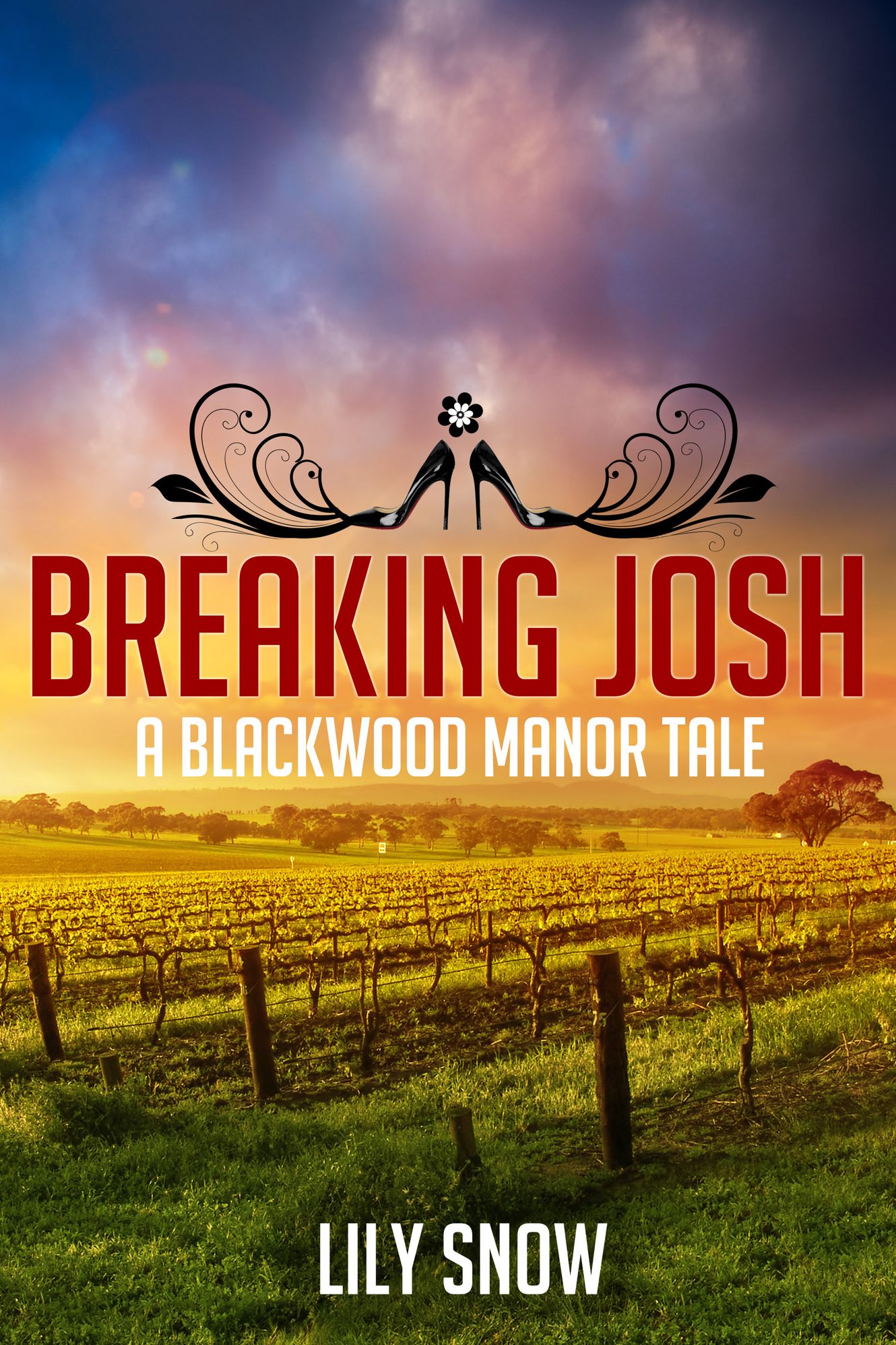 Breaking Josh