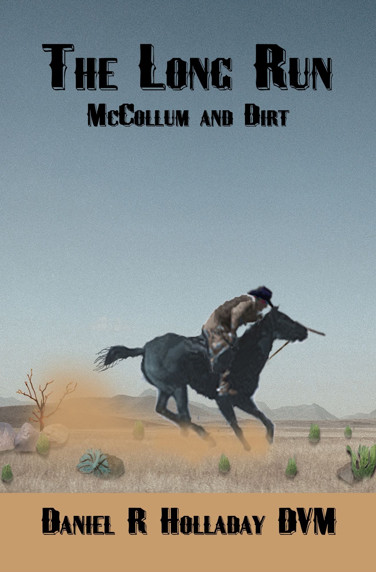 The Long Run - McCollum and Dirt