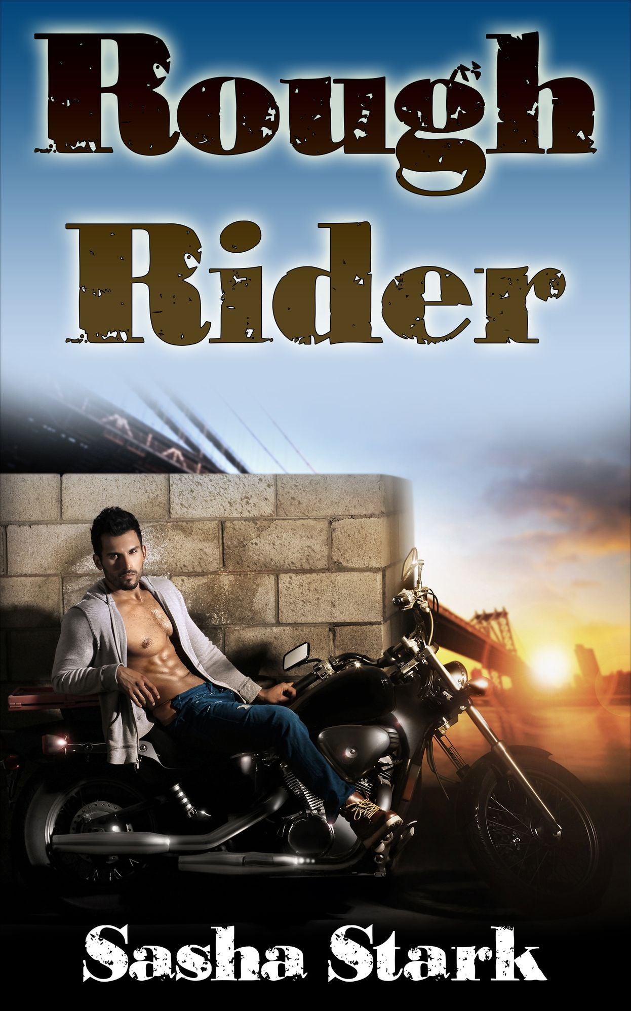 Rough Rider (Erotic Motorcycle Club Romance)