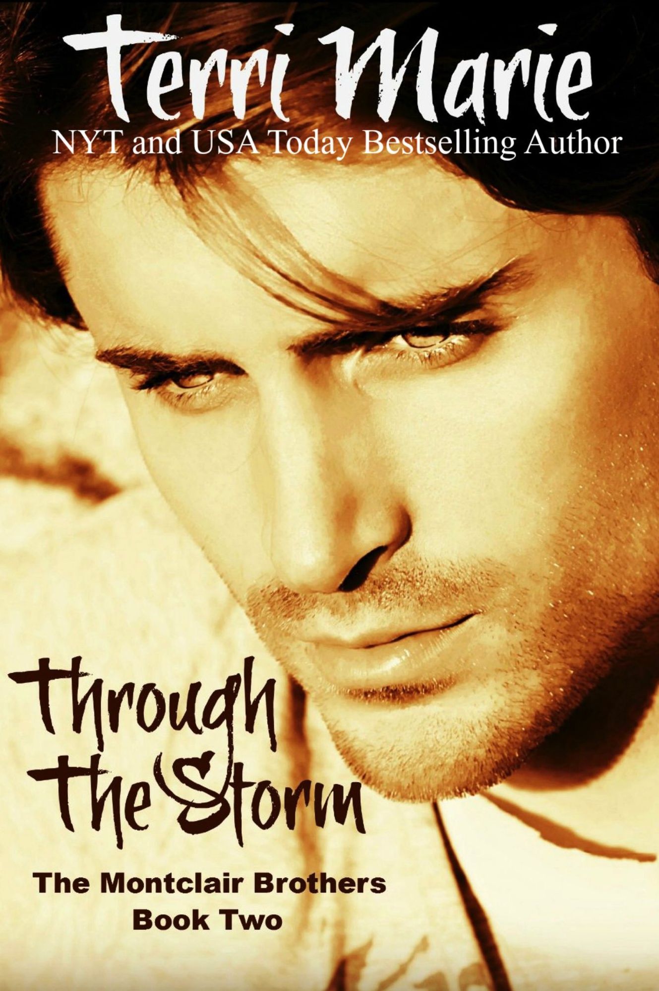 Through the Storm, The Montclair Brothers, Book 2