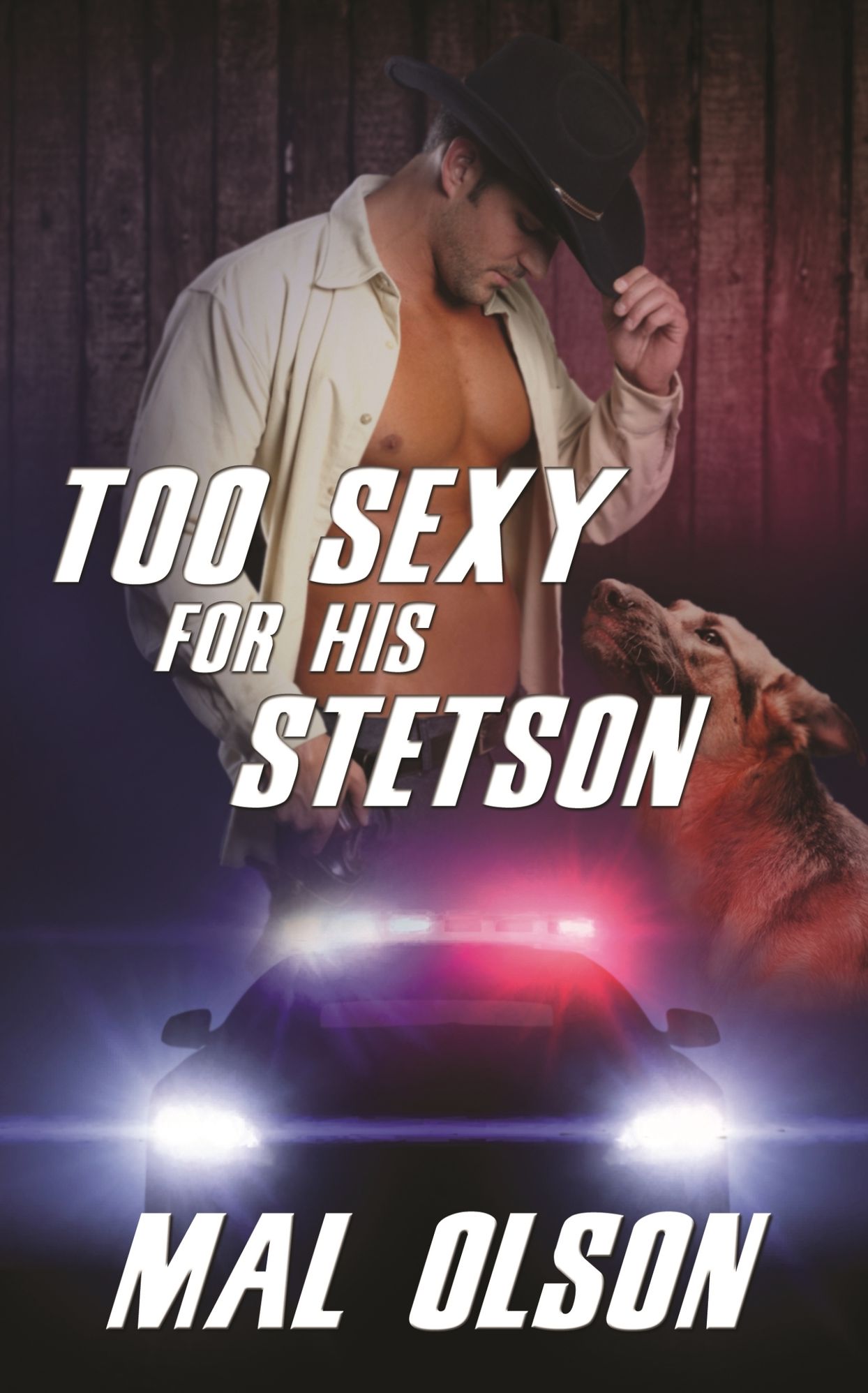 Too Sexy for His Stetson (Sizzling Hot Sheriff)