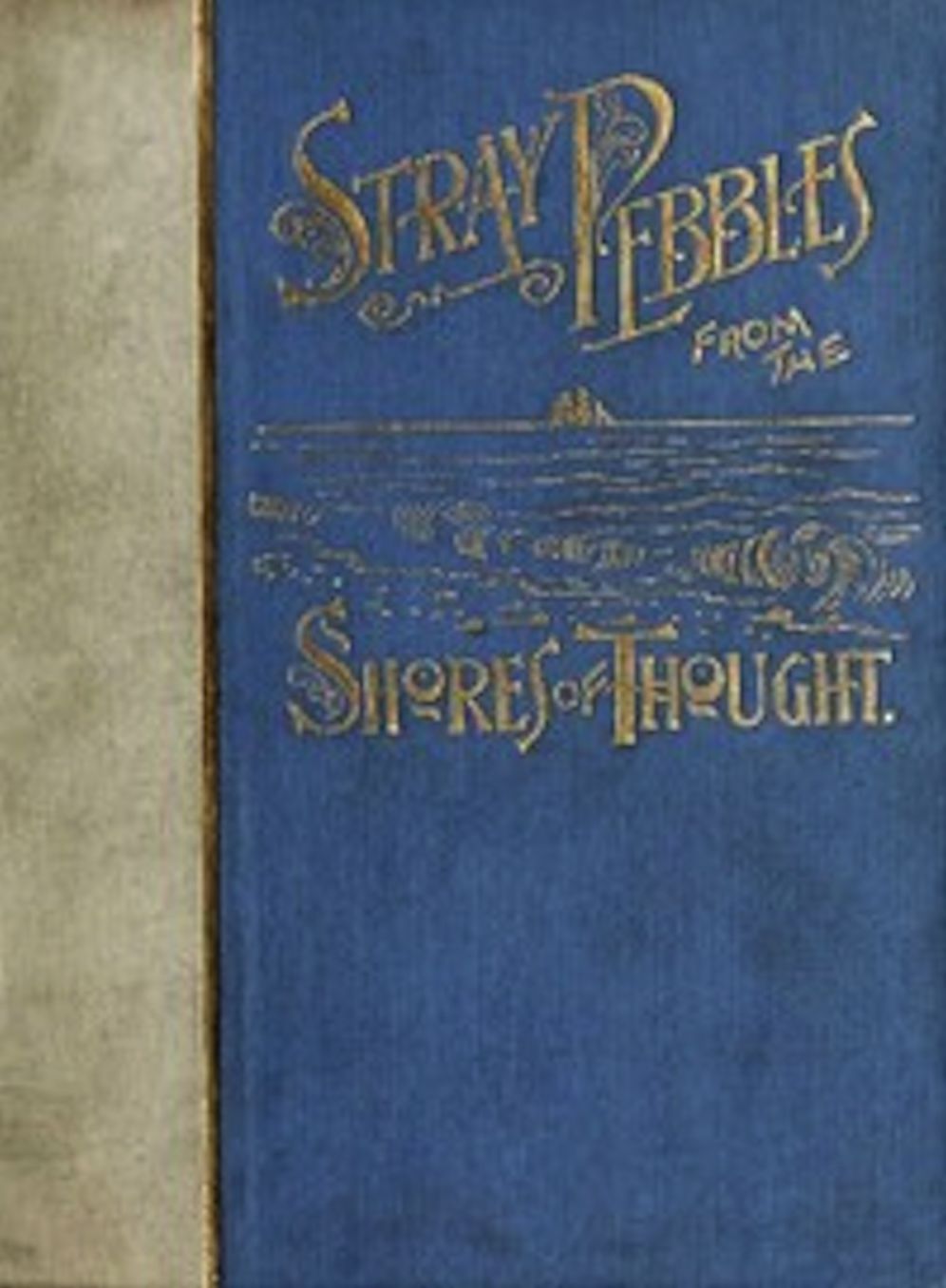 Stray Pebbles from the Shores of Thought (Illustrated)