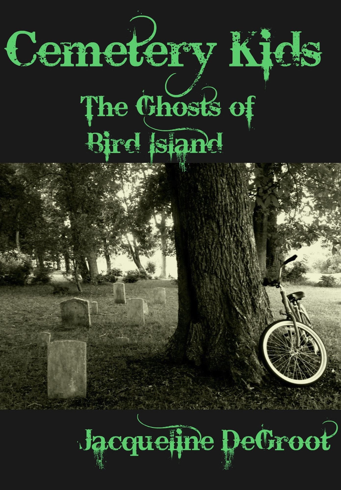 Cemetery Kids The Ghosts Of Bird Island