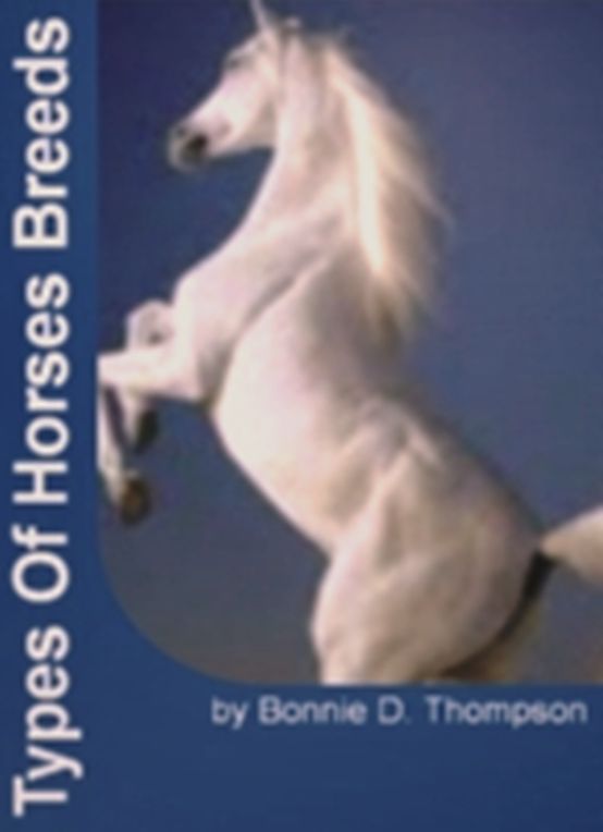 Types of Horse Breeds: An In-depth Study of Equestrianism, Paso Fino Horses, Types of Warm Bloods, American Quarter Horse, Thoroughbreds and Horse First Aid!