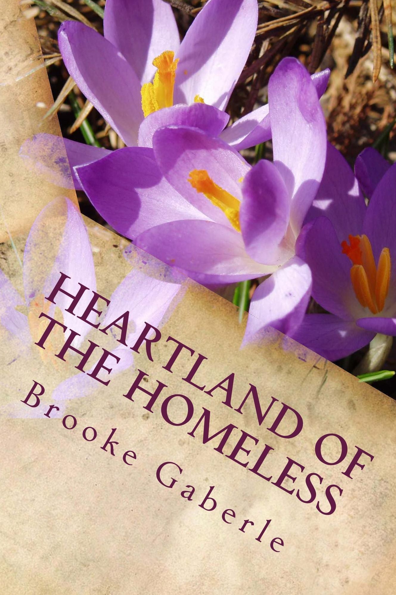 Heartland of the Homeless
