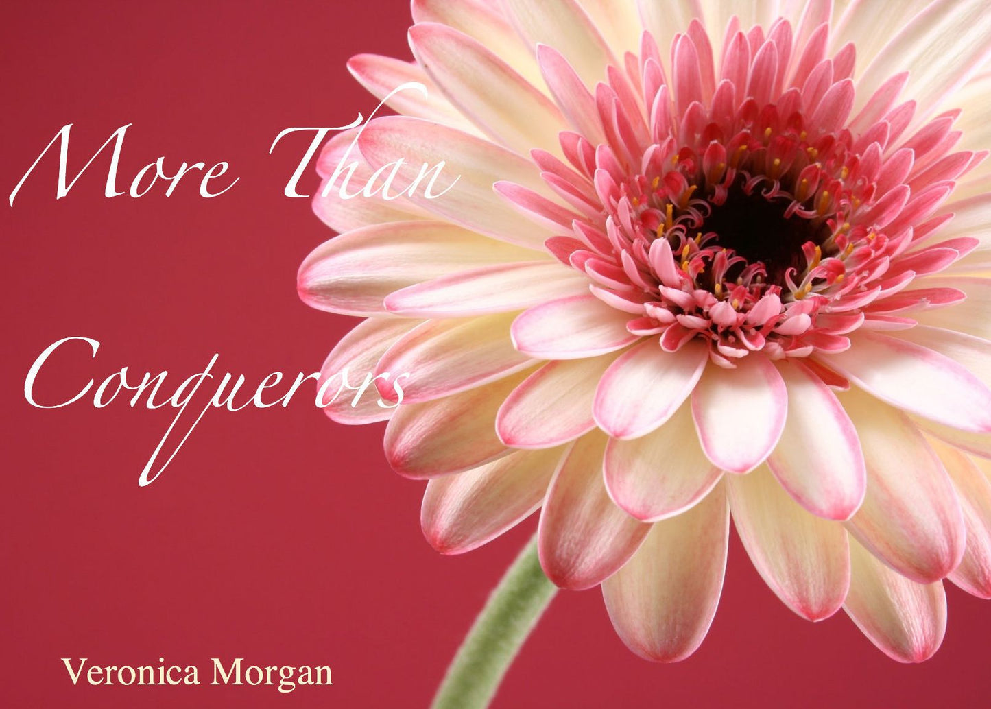 More Than Conquerors: Daily Devotional