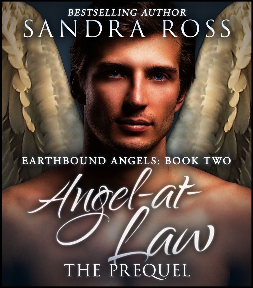Angel-at-Law, The Prequel: Earthbound Angels 2