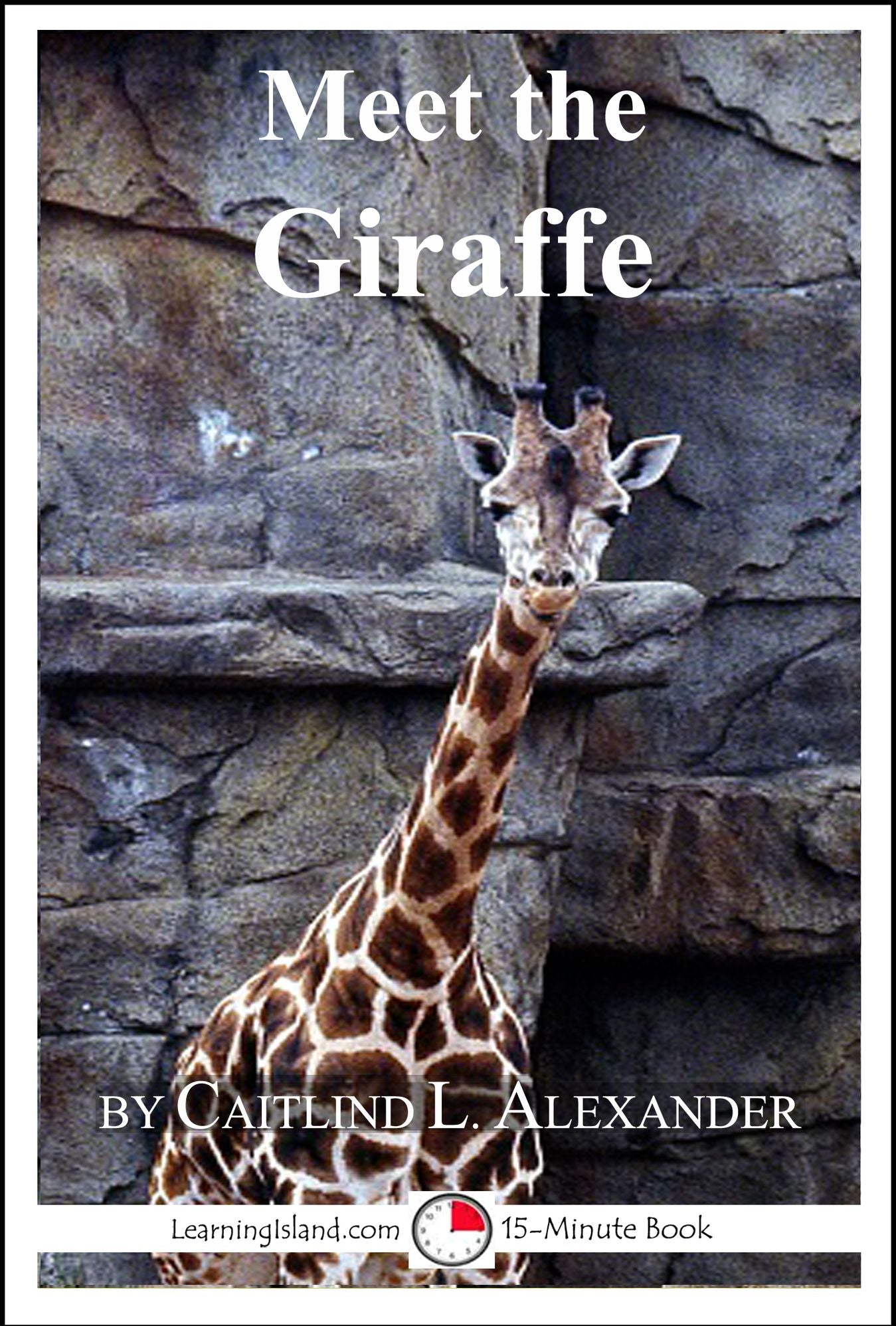 Meet the Giraffe: A 15-Minute Book for Early Readers