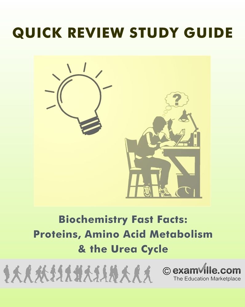 Proteins, Amino Acid Metabolism and the Urea Cycle