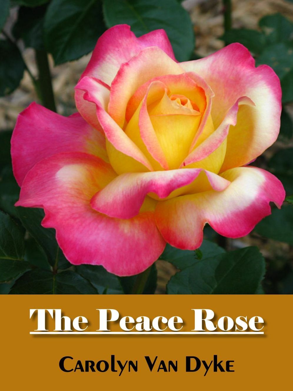 The Peace Rose