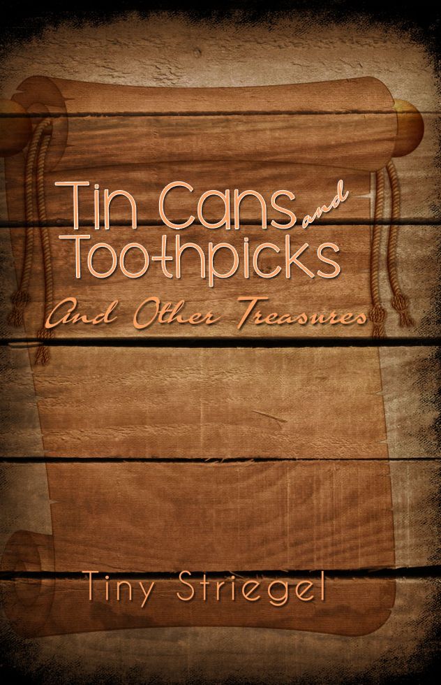 Tin Cans and Toothpicks And Other Treasures