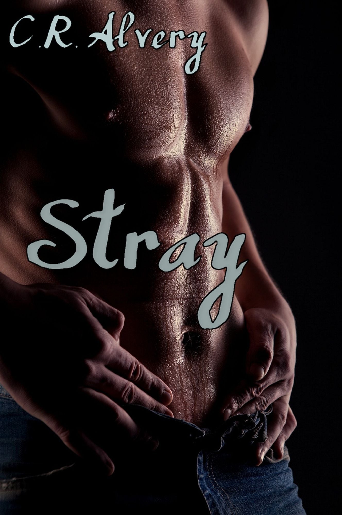 Stray (Gay Billionaire Werewolf Incubus Vampire Erotica)
