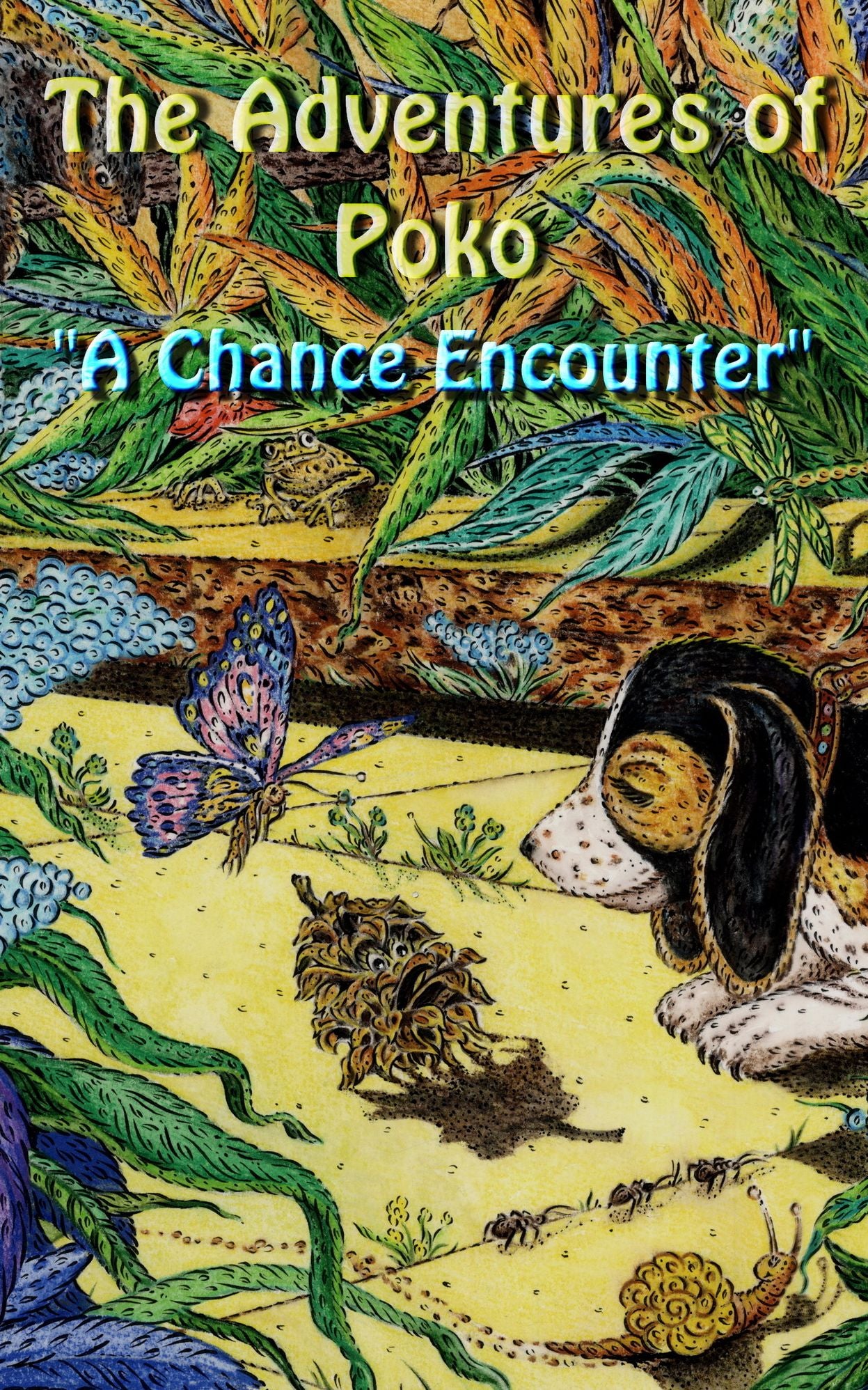 The Adventures of Poko - "A Chance Encounter"
