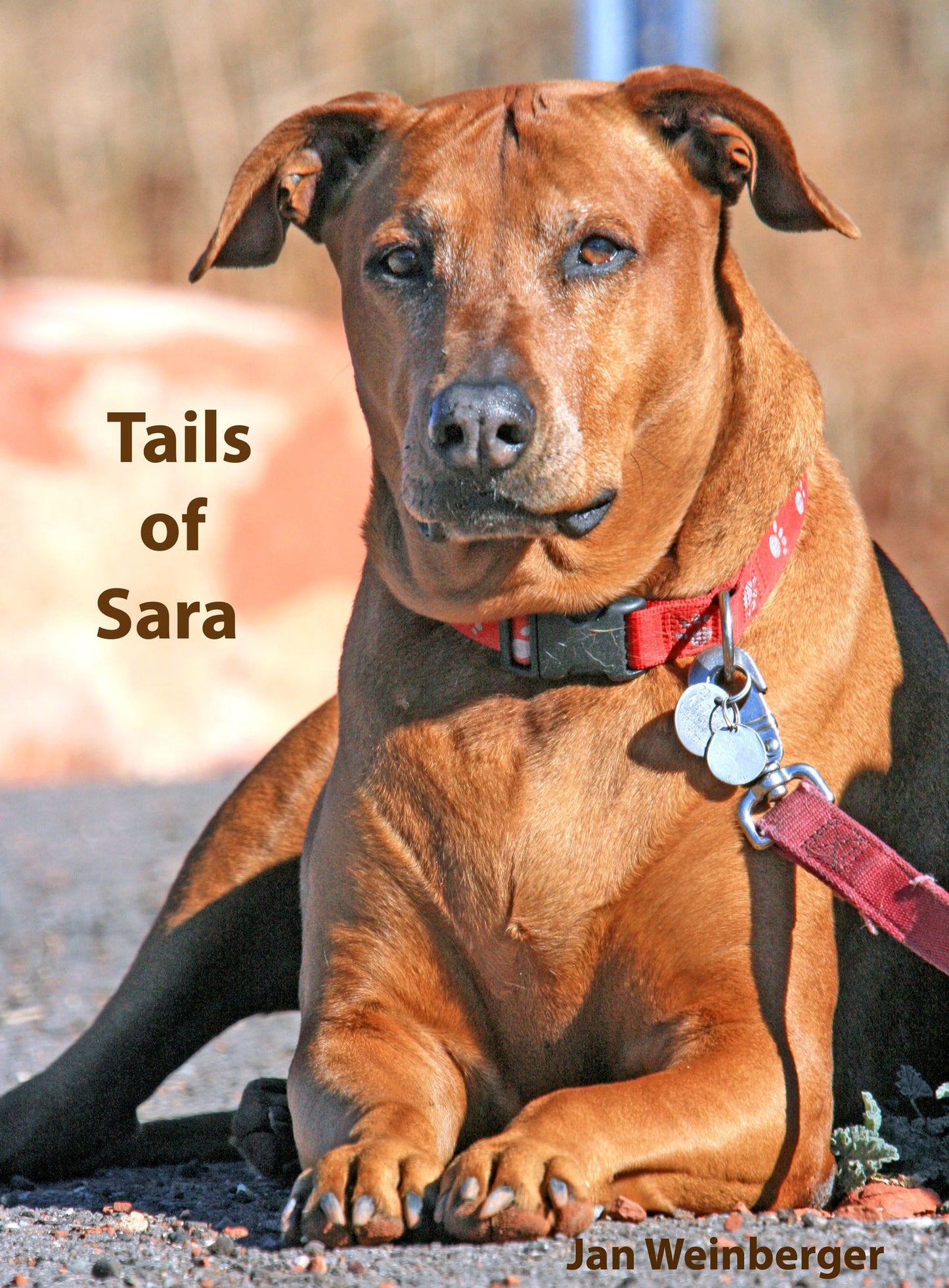 Tails of Sara