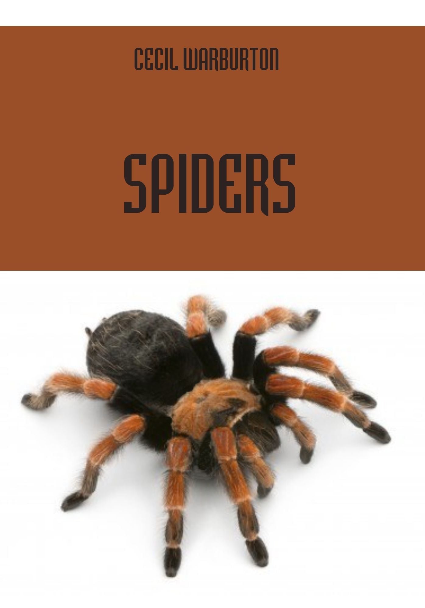 Spiders (Illustrated)