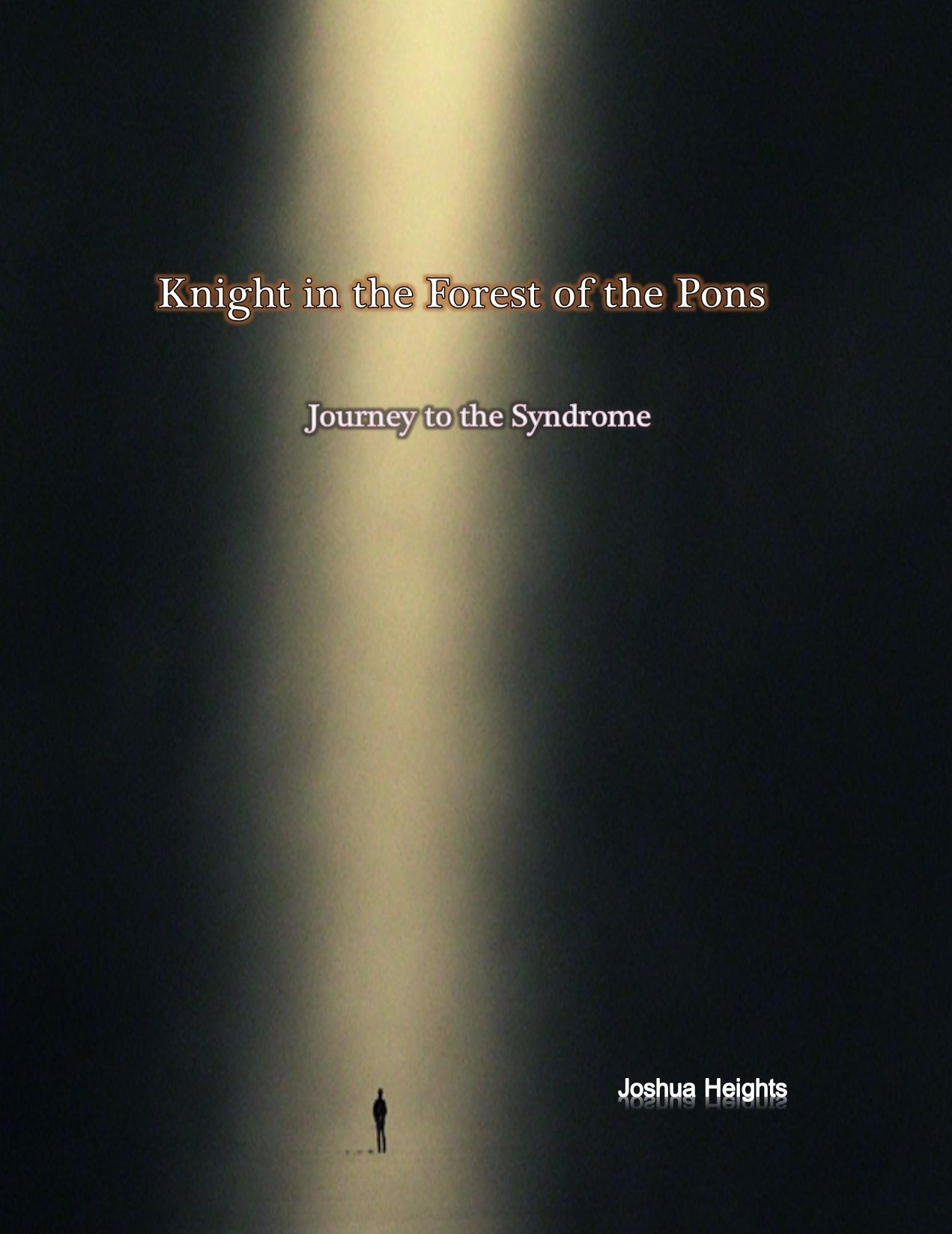 KNIGHT IN THE FOREST OF THE PONS