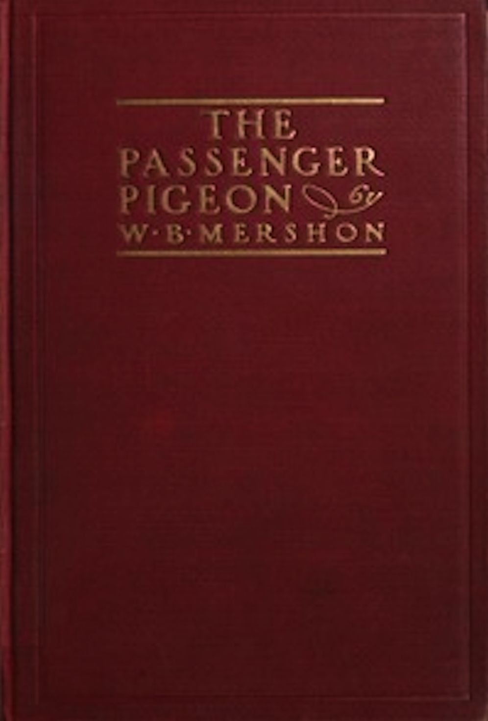 The Passenger Pigeon (Illustrated)
