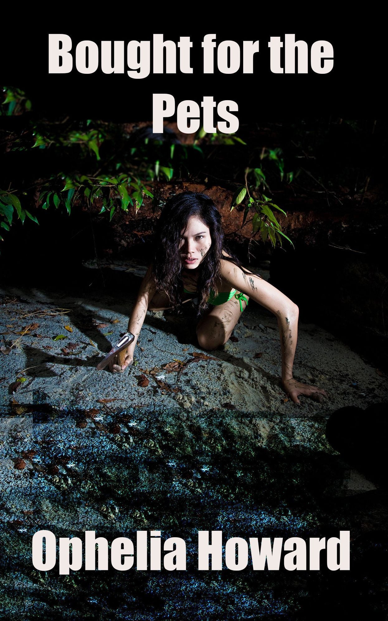 Bought for the Alien Pets, an Erotic Story (Faith's New Life, #1)