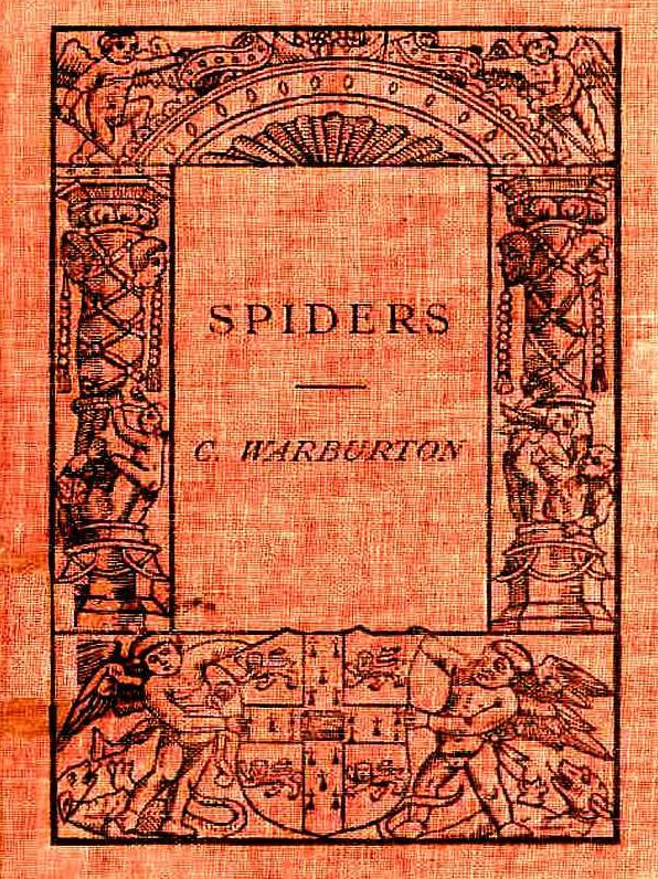 Spiders