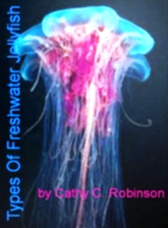Types Of Freshwater Jellyfish-Satisfy Your Need To Know About Jellyfish Stings, Box Jellyfish, Jellyfish Boogers Of The Sea and Treatment For Jellyfish Stings!