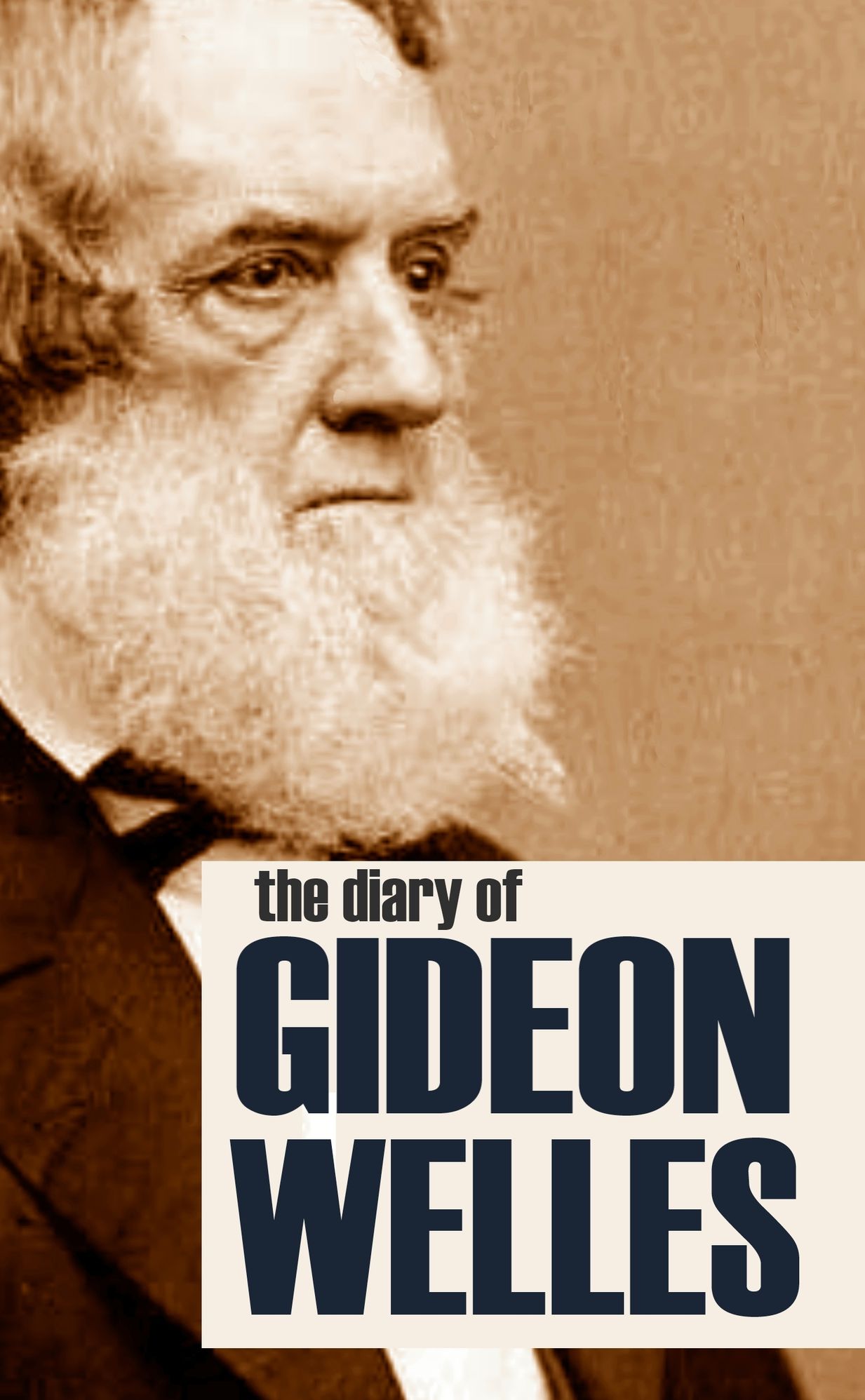 Diary of Gideon Welles: Volumes I & II