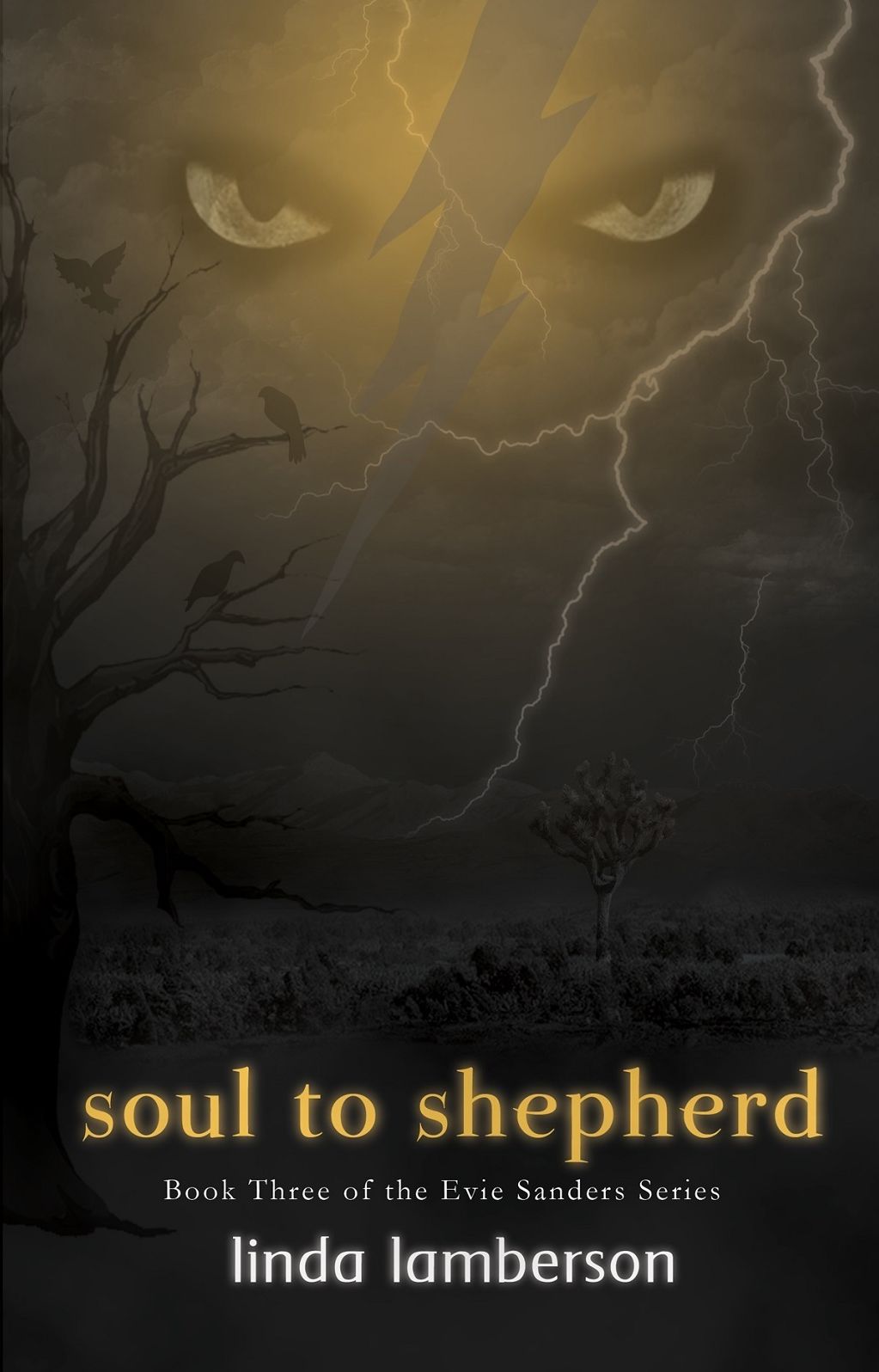 Soul to Shepherd: Book Three of the Evie Sanders Series