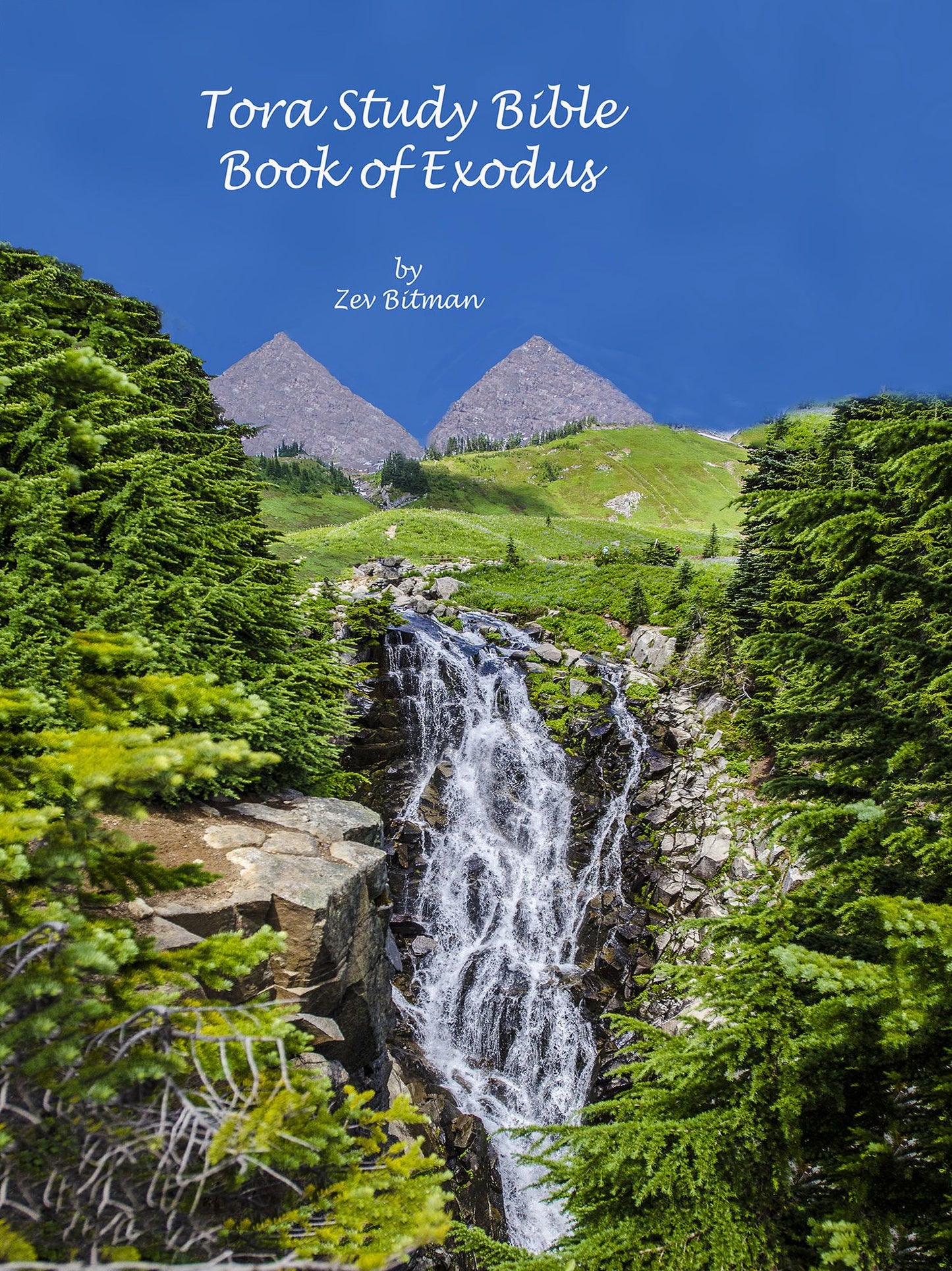 Tora Study Bible: Book of Exodus