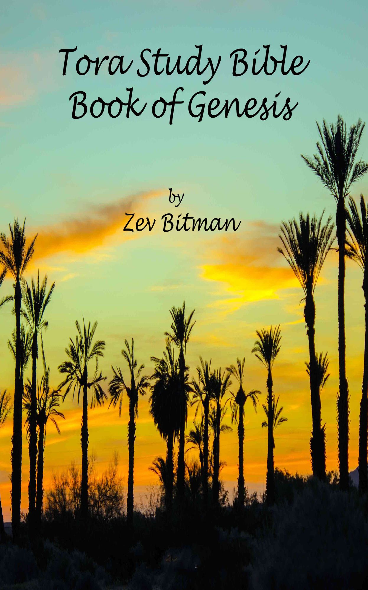 Tora Study Bible: Book of Genesis