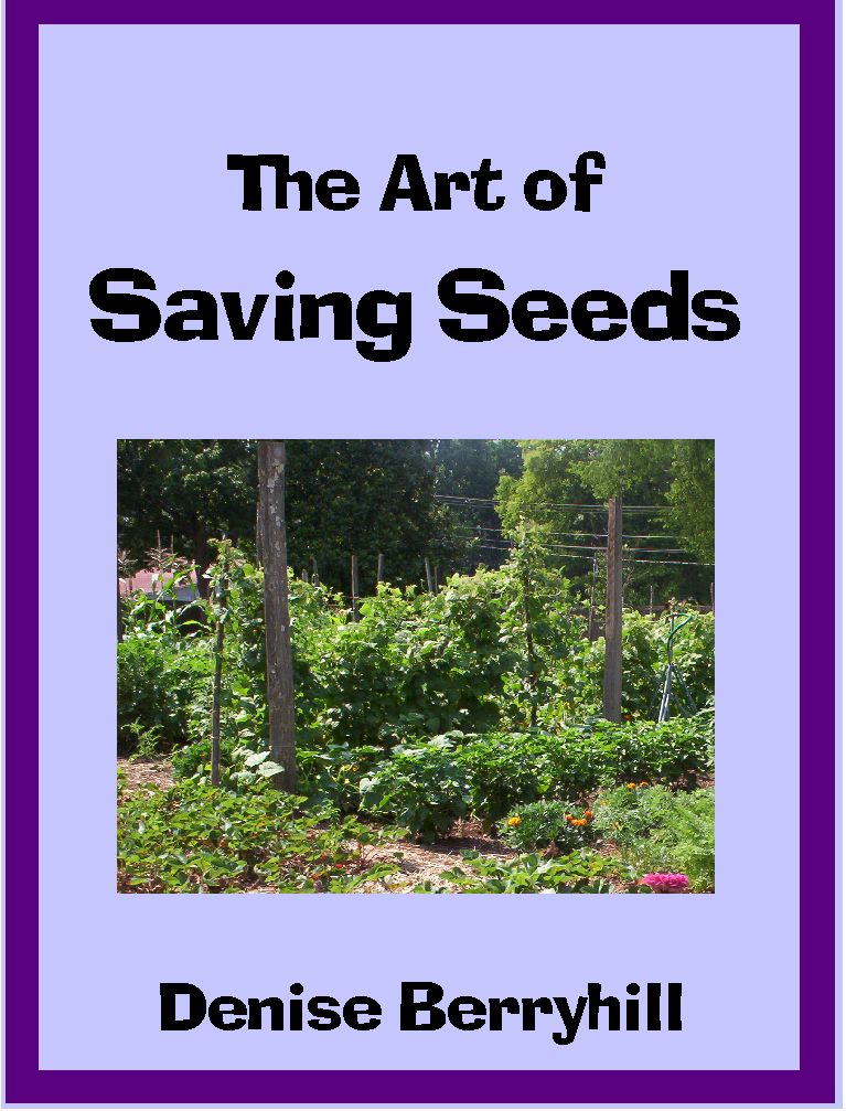 The Art of Saving Seeds