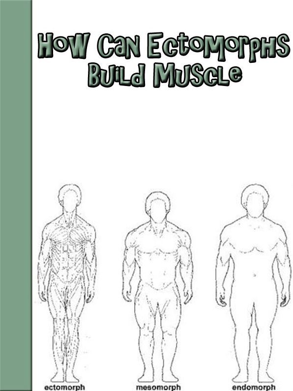 How Can Ectomorphs Build Muscle?