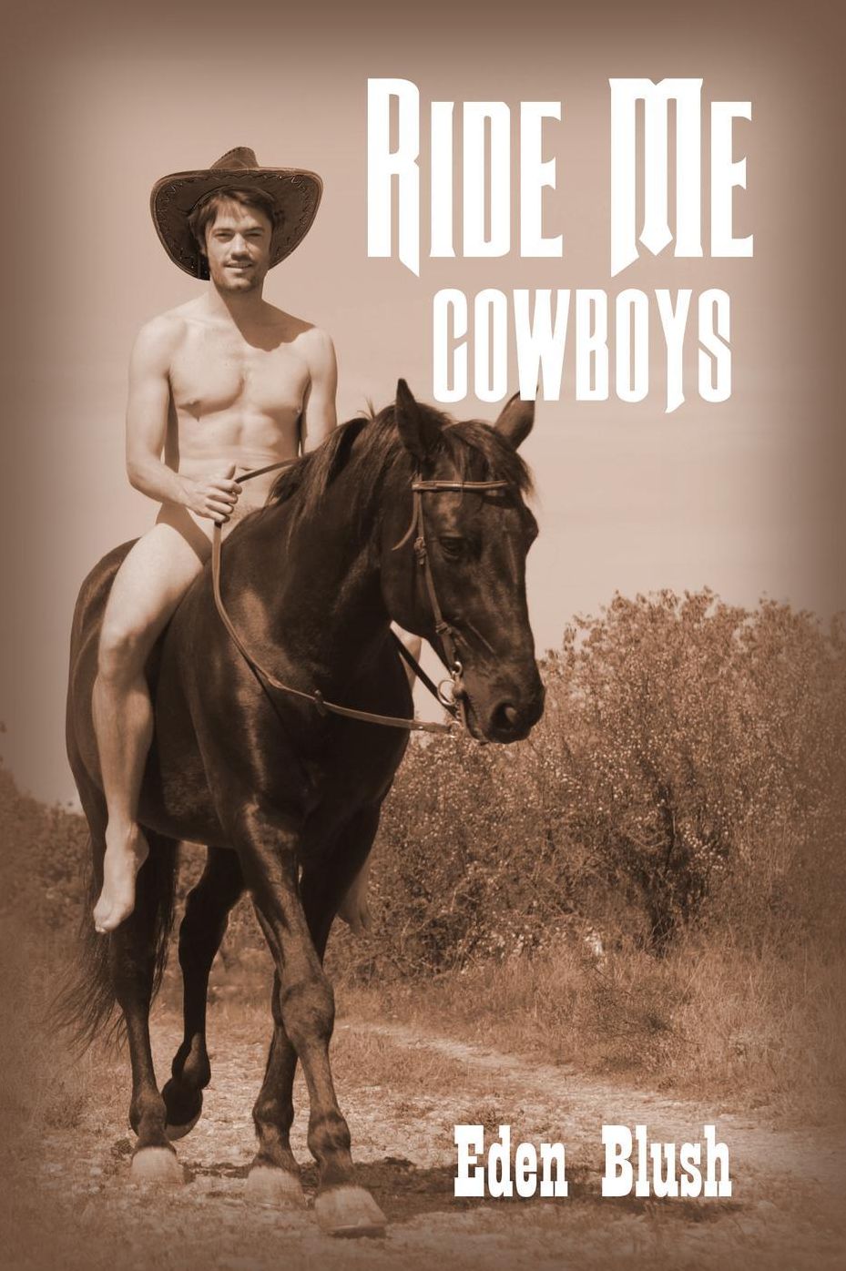 Ride Me Cowboys