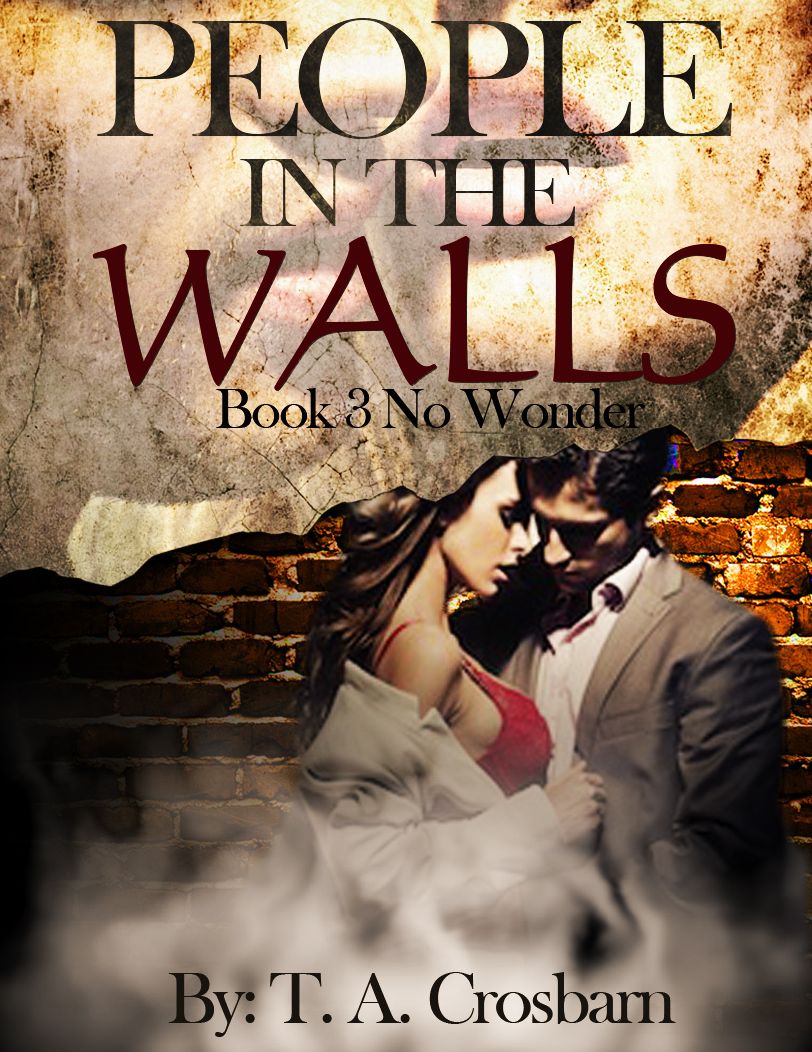 People in the Walls (Book 3 No Wonder)