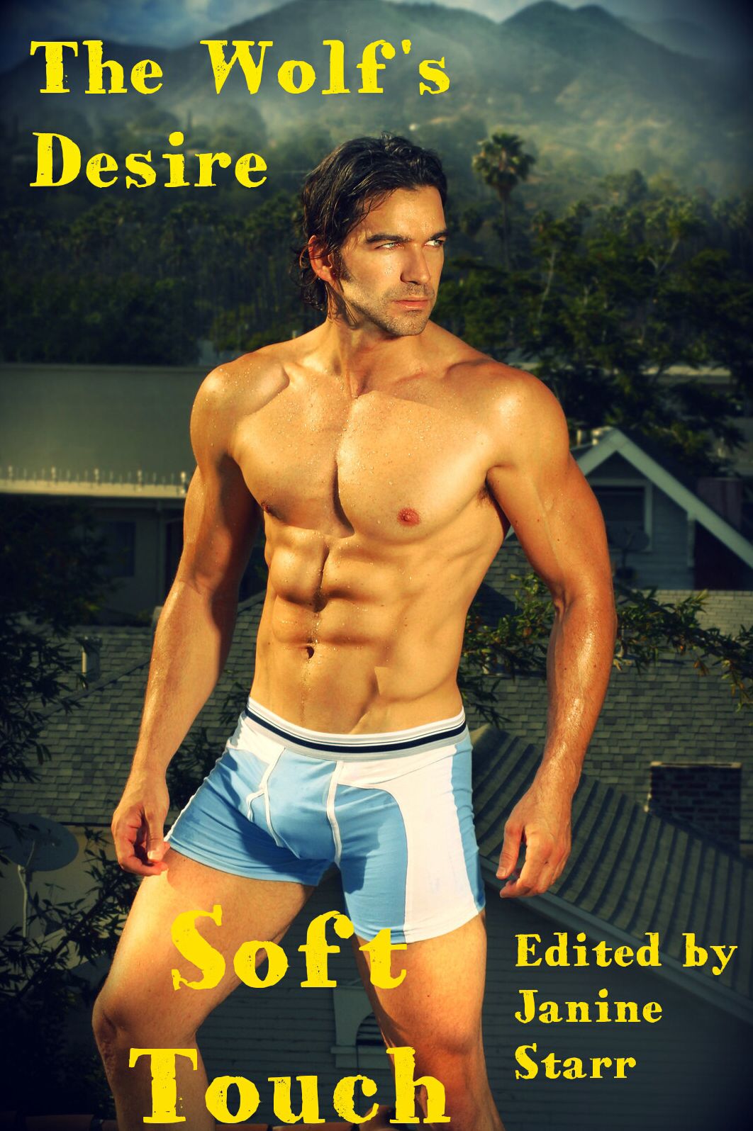 The Wolf's Desire: Soft Touch (3 Paranormal BBW Erotic Short Stories)