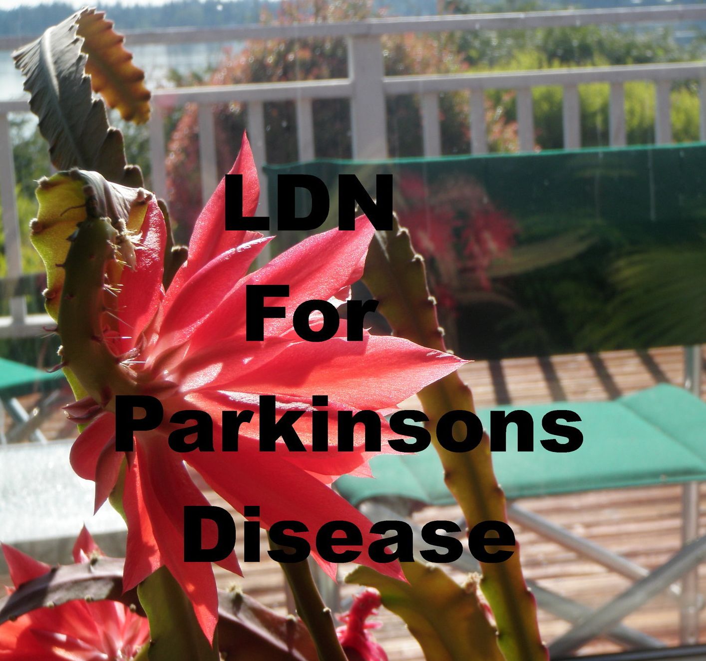 LDN for Parkinson's Disease