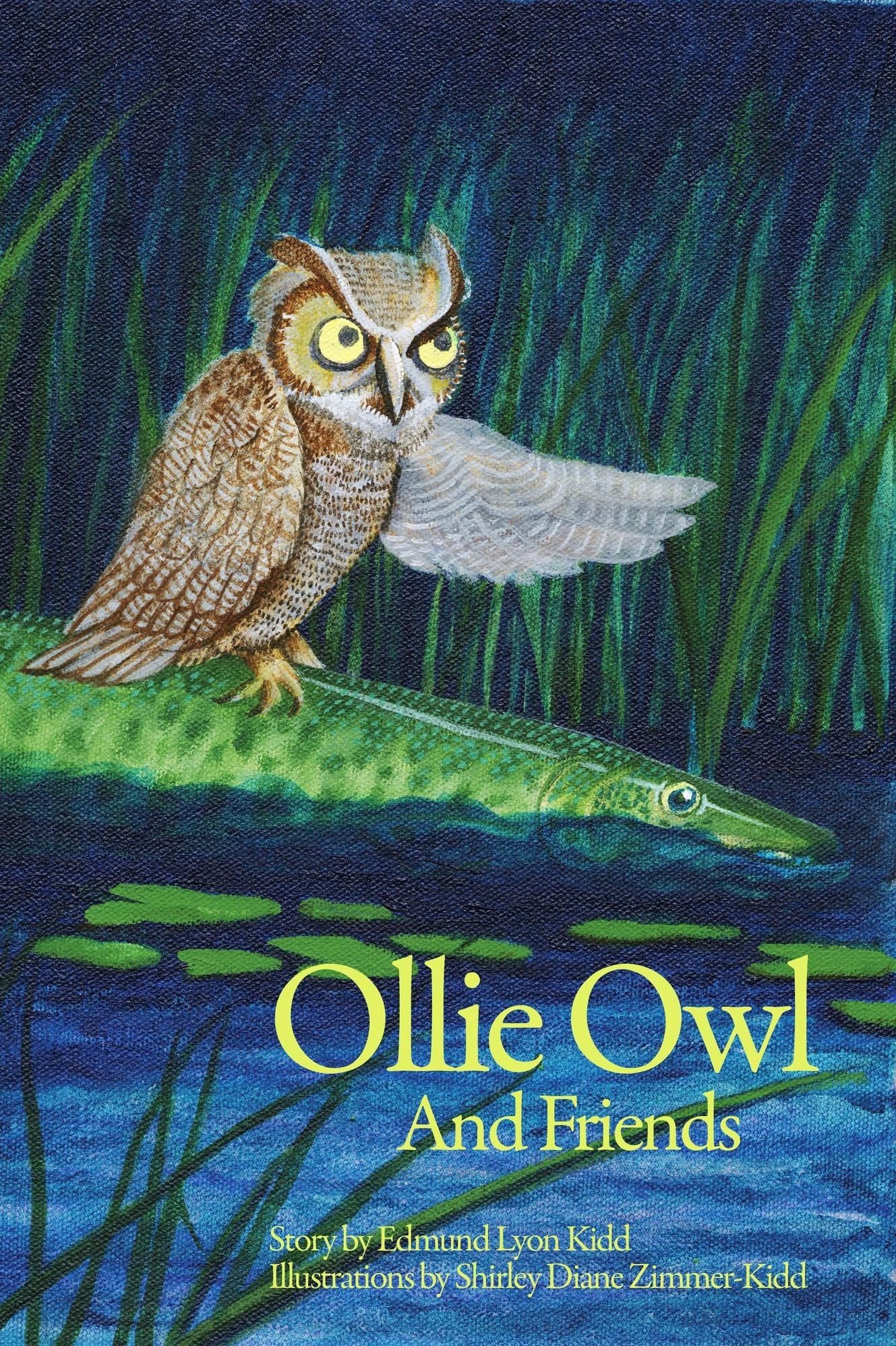 Ollie Owl Kindle.Standard