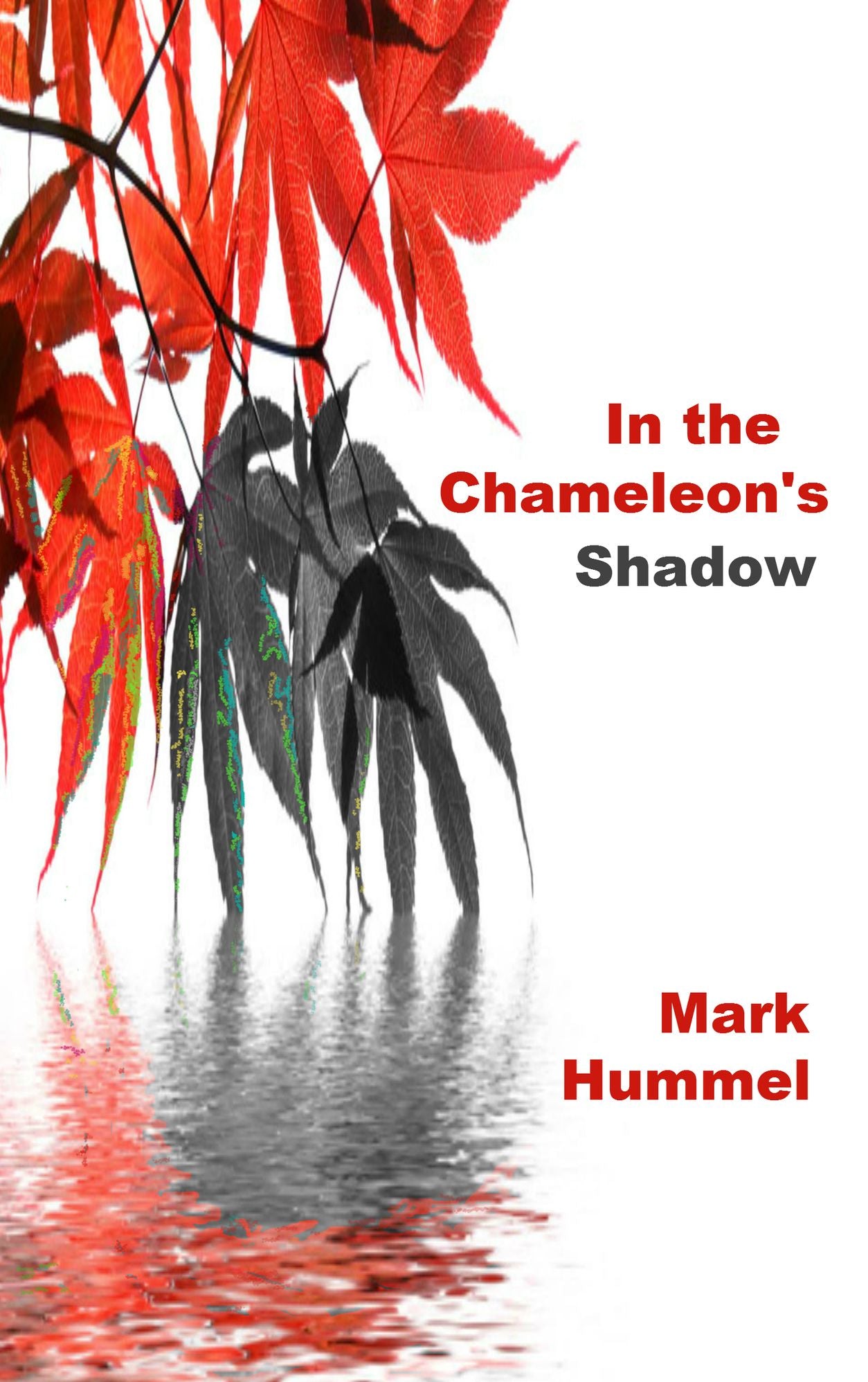 In the Chameleon's Shadow
