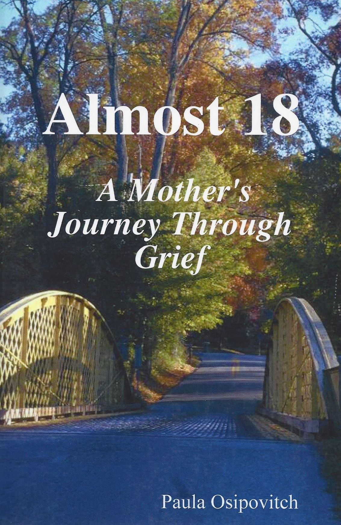 Almost 18..."A Mothers Journey Through Grief"