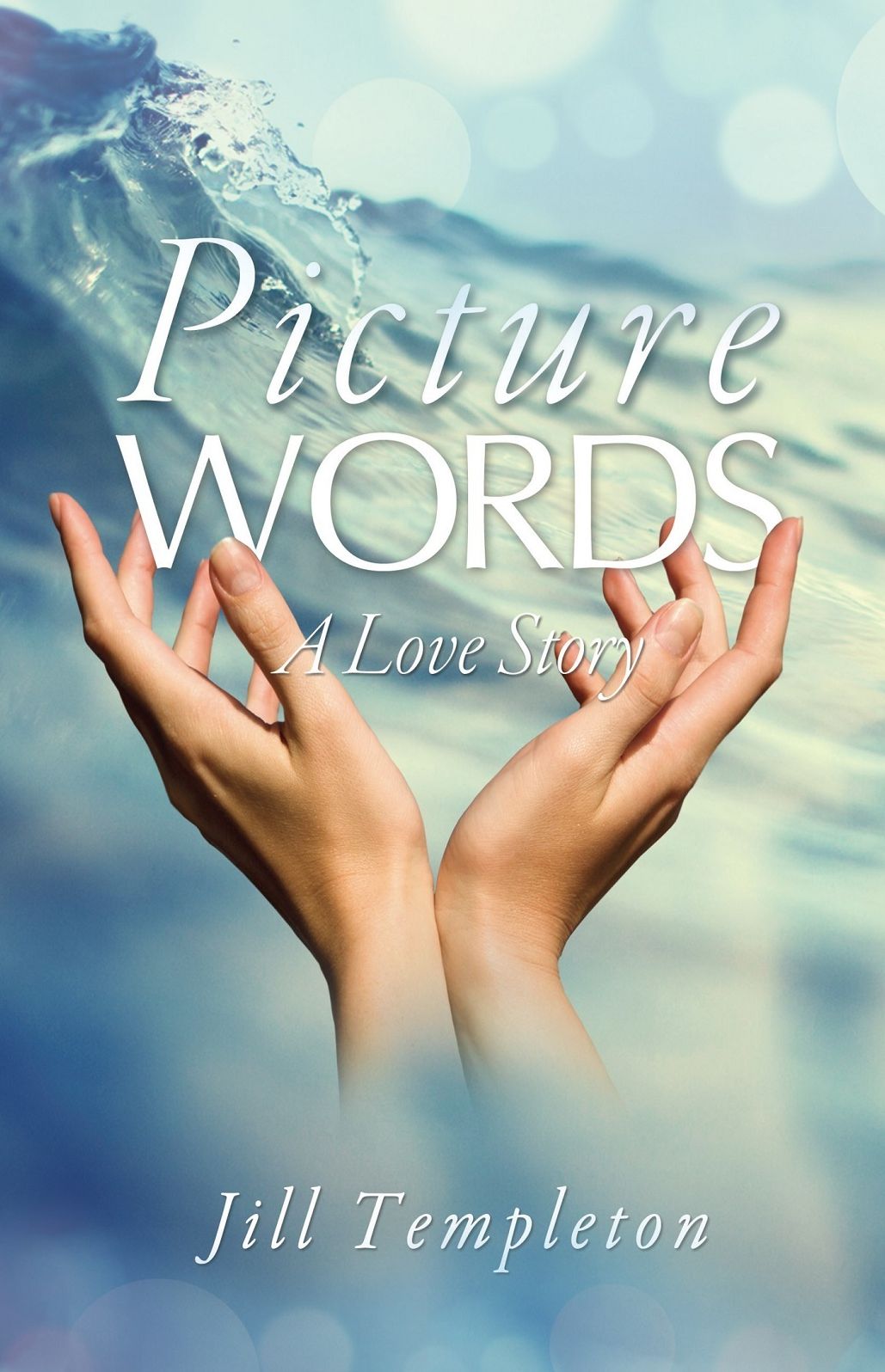 Picture Words: A Novel