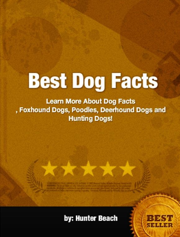 Best Dog Facts-Quickly Learn More About Dog Facts, Foxhound Dogs, Poodles, Deerhound Dogs and Hunting Dogs!