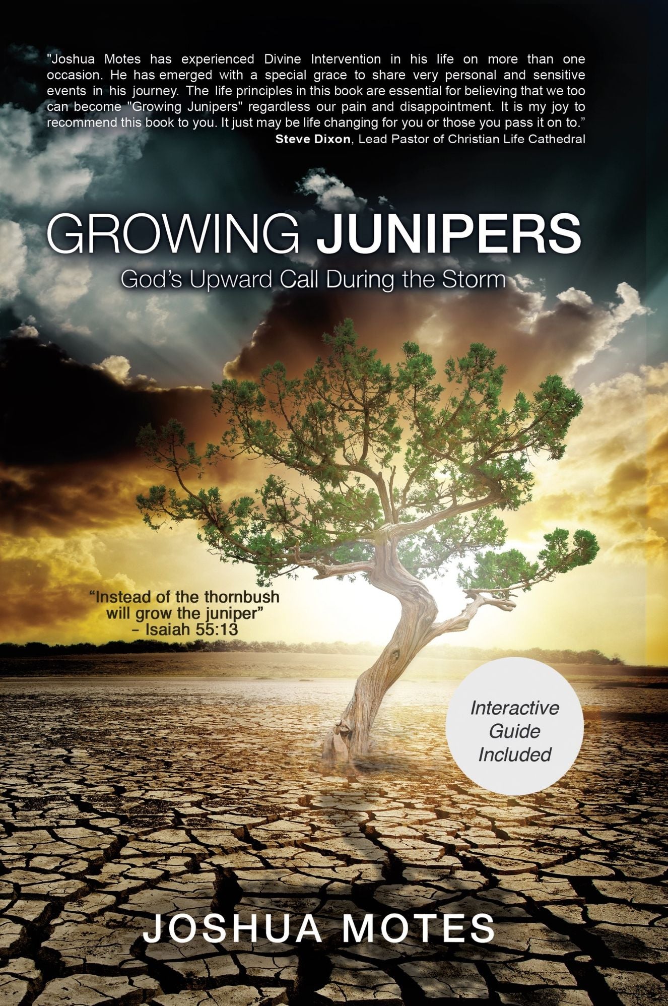 Growing Junipers: God's Upward Call During the Storm