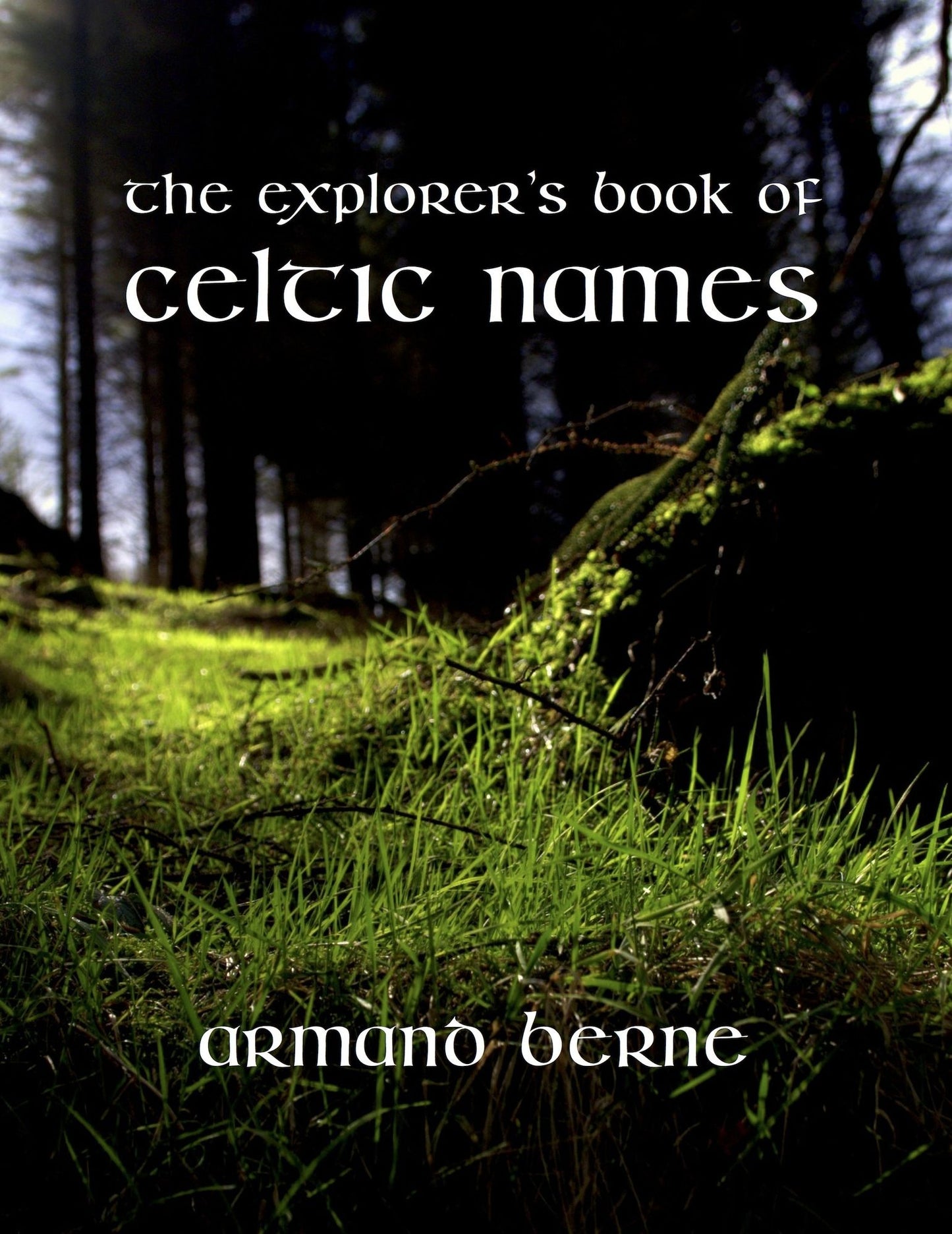 The Explorer's Book of Celtic Names