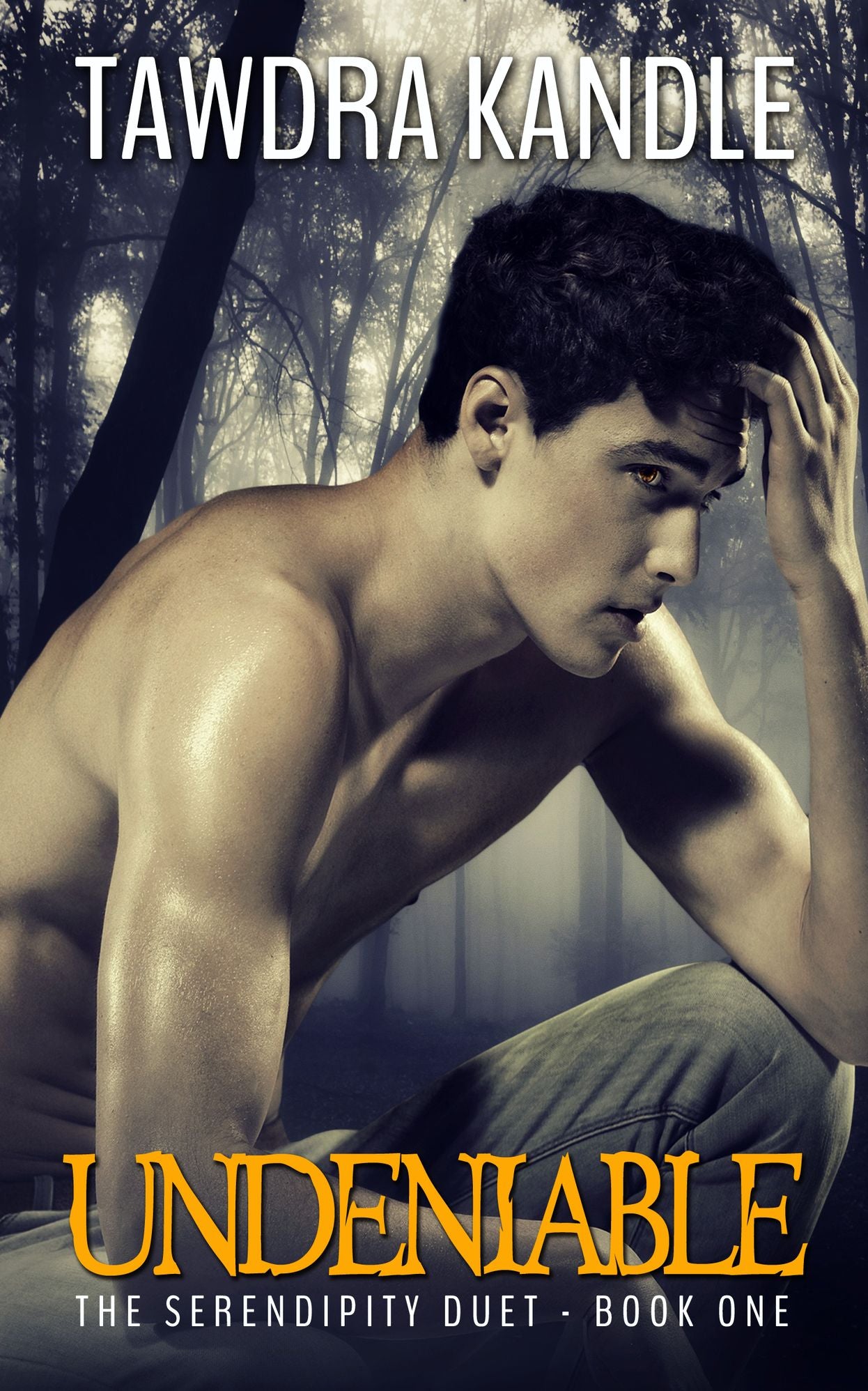 Undeniable (The Serendipity Books)