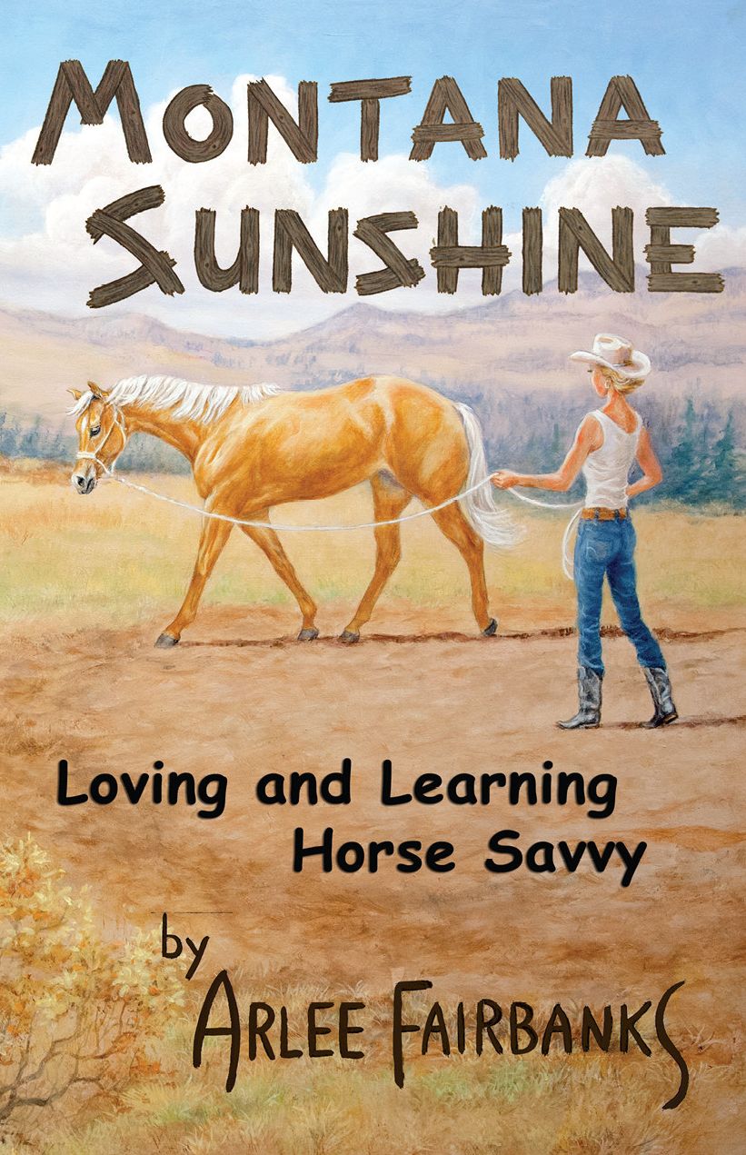Montana Sunshine