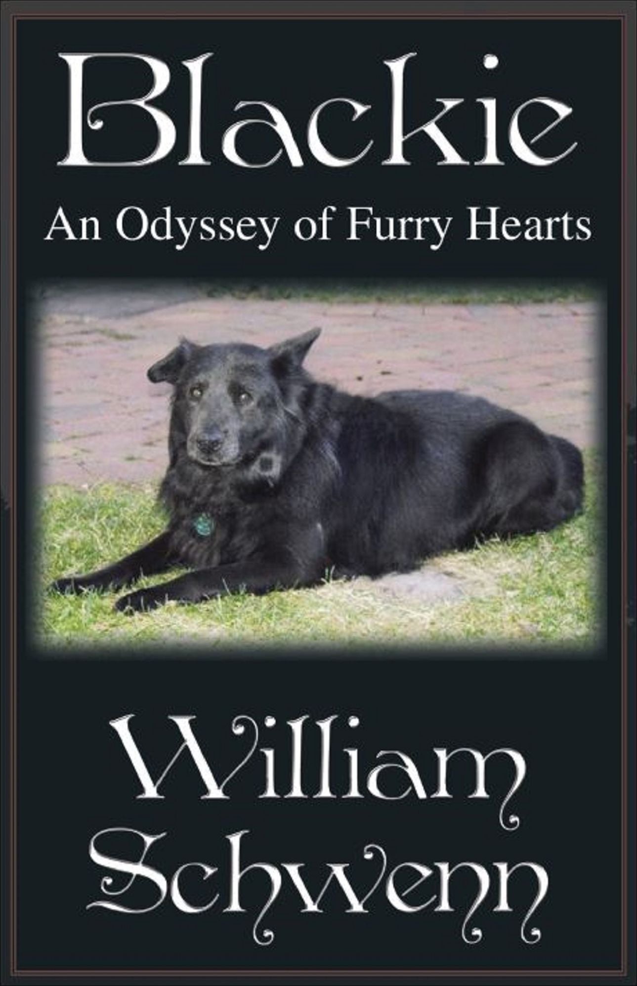 Blackie “An Odyssey of Furry Hearts”
