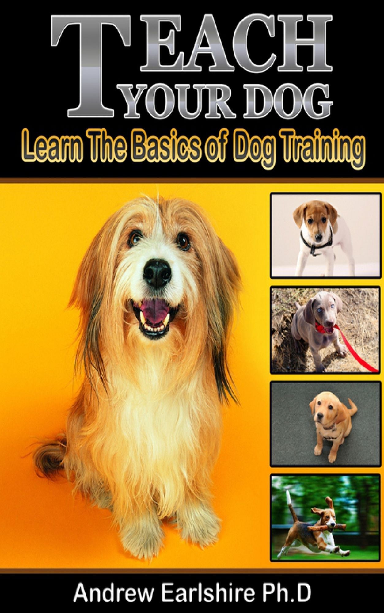 Teach Your Dog
